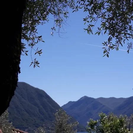 Lago E Ulivi 欧苏西奥